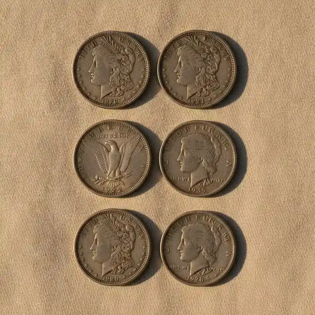 Morgan and Peace silver dollars arranged to compare dates, designs and mint marks